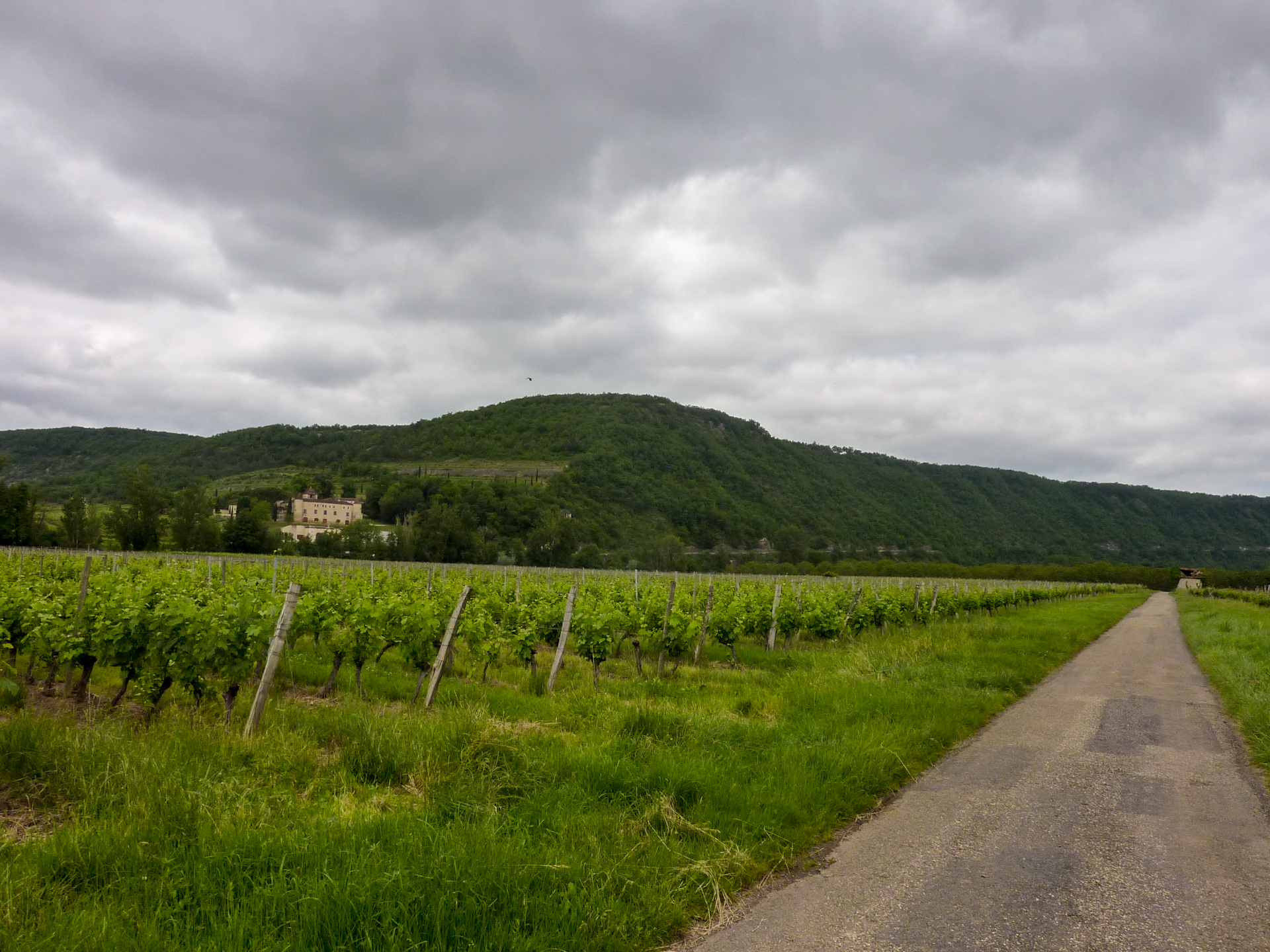 Sur la Route des Vignes, Parnac - photo 5