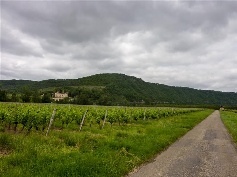 Dauliac - Entre vignes et chateaux_11 © Lot Tourisme - C. Sanchez