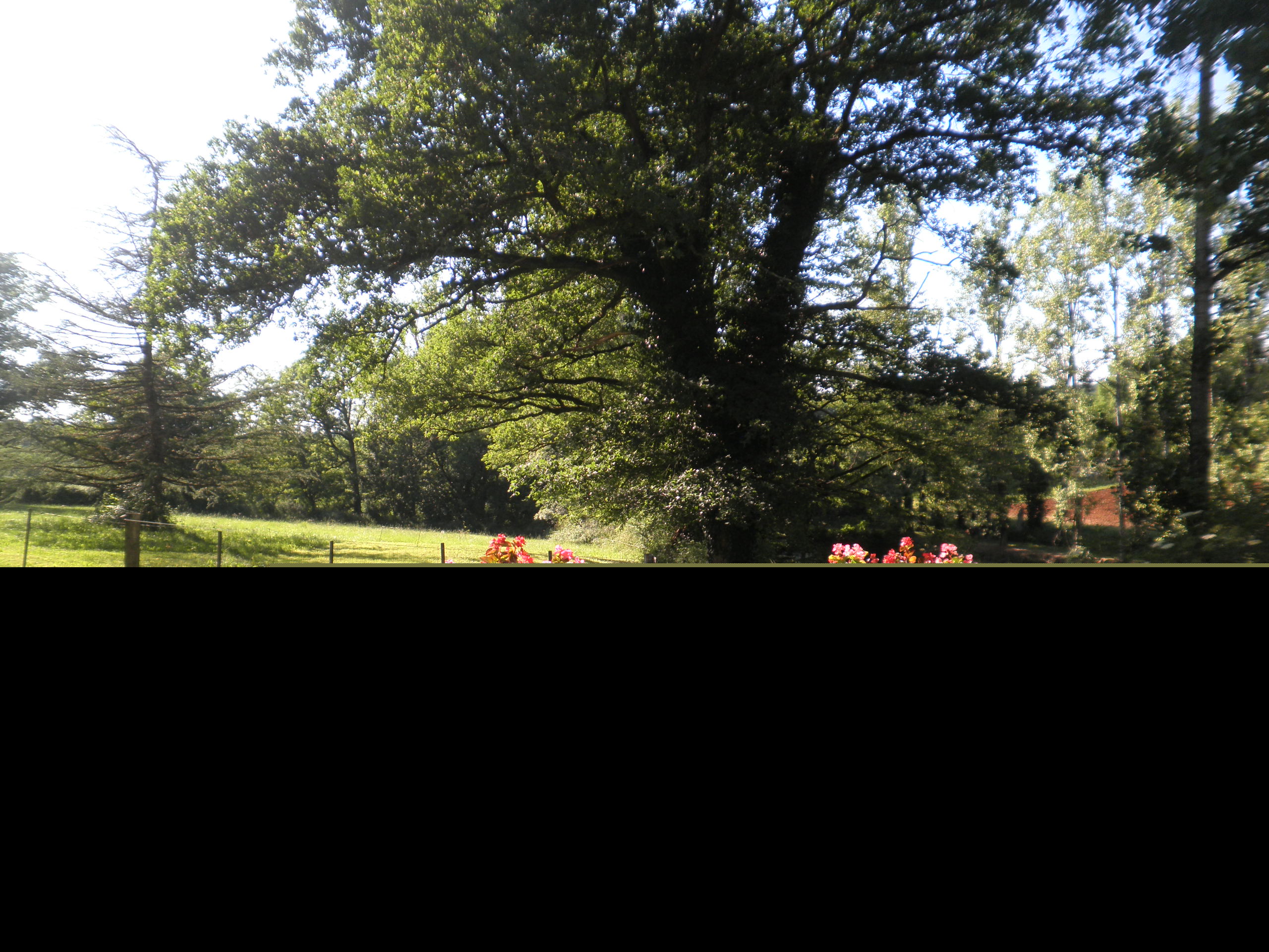 La Grange, Rignac - photo 10