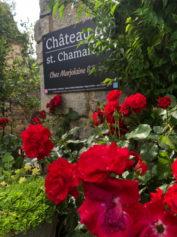 Château de St Chamarand - T3, Saint-Chamarand - photo 4