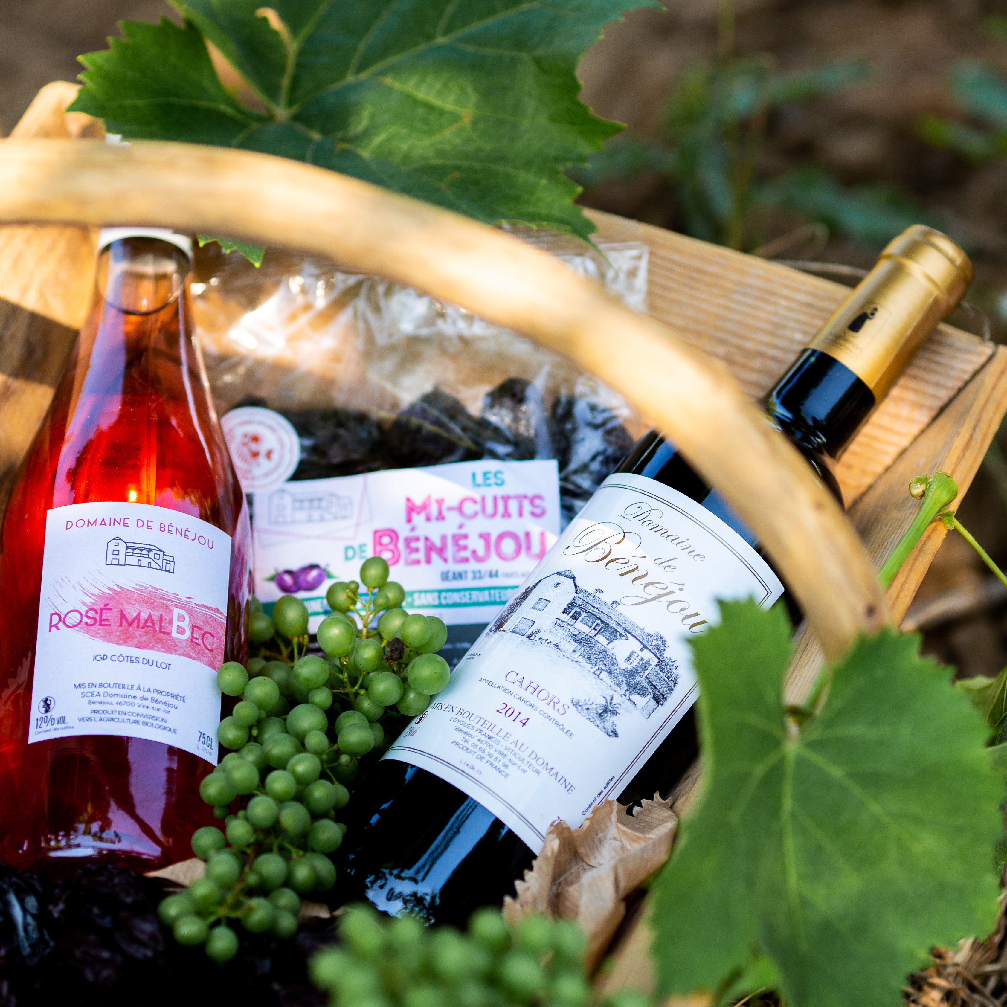 Domaine de Bénéjou