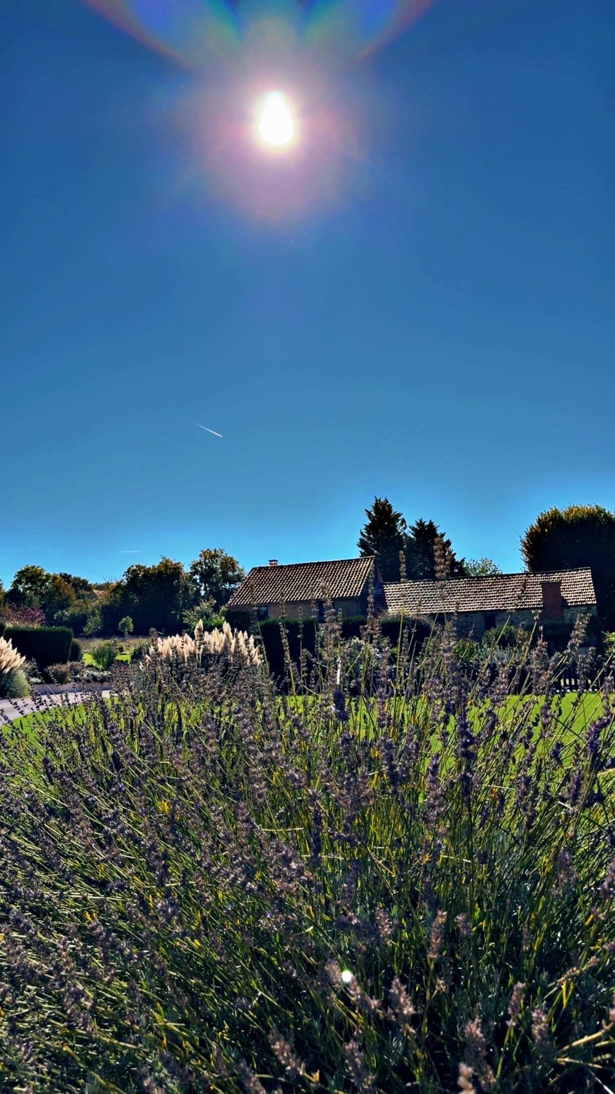 Domaine d'Aurel : Prairie, Rouffilhac - photo 10