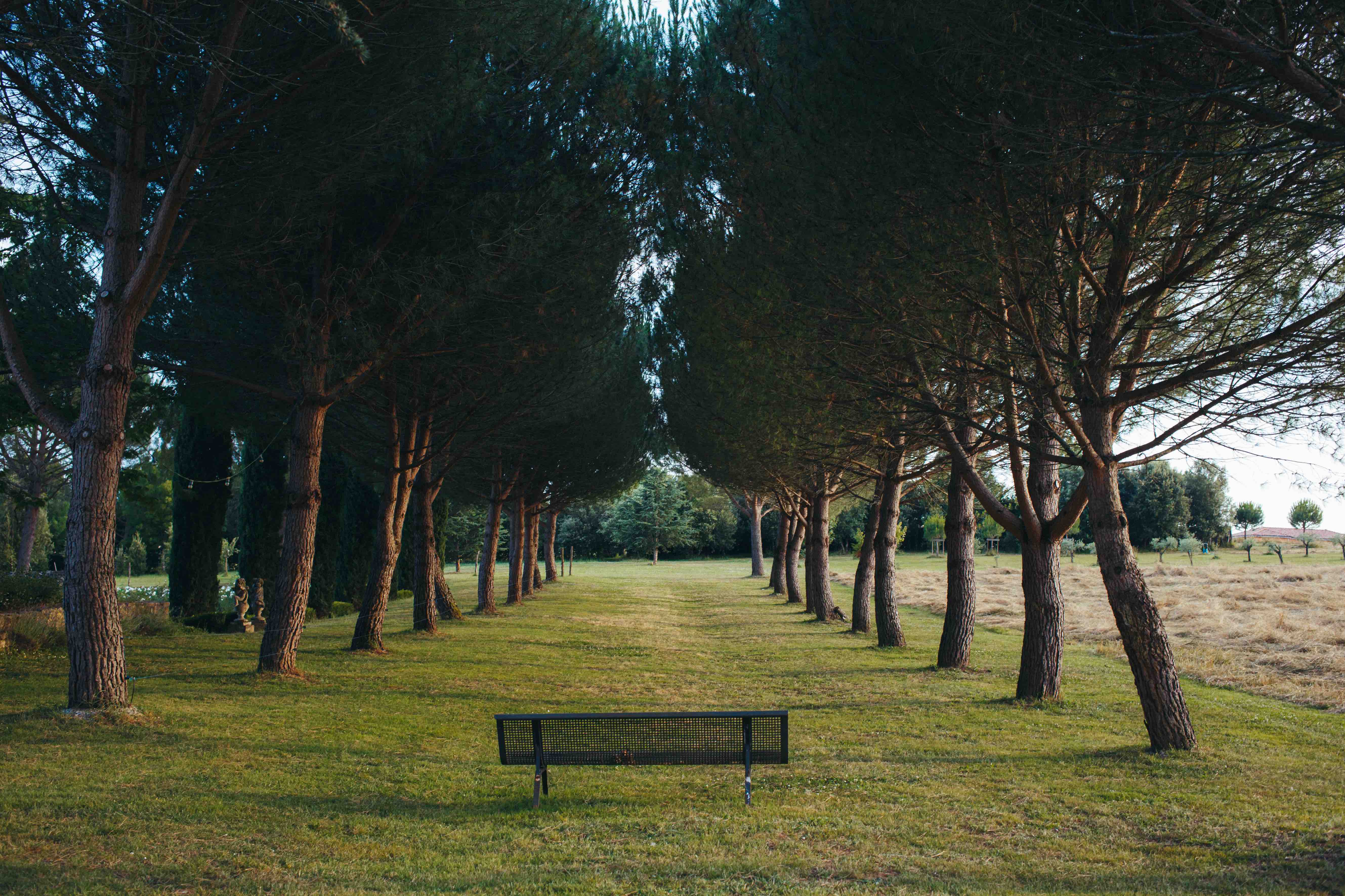Domaine de Labarthe, Espère - photo 5