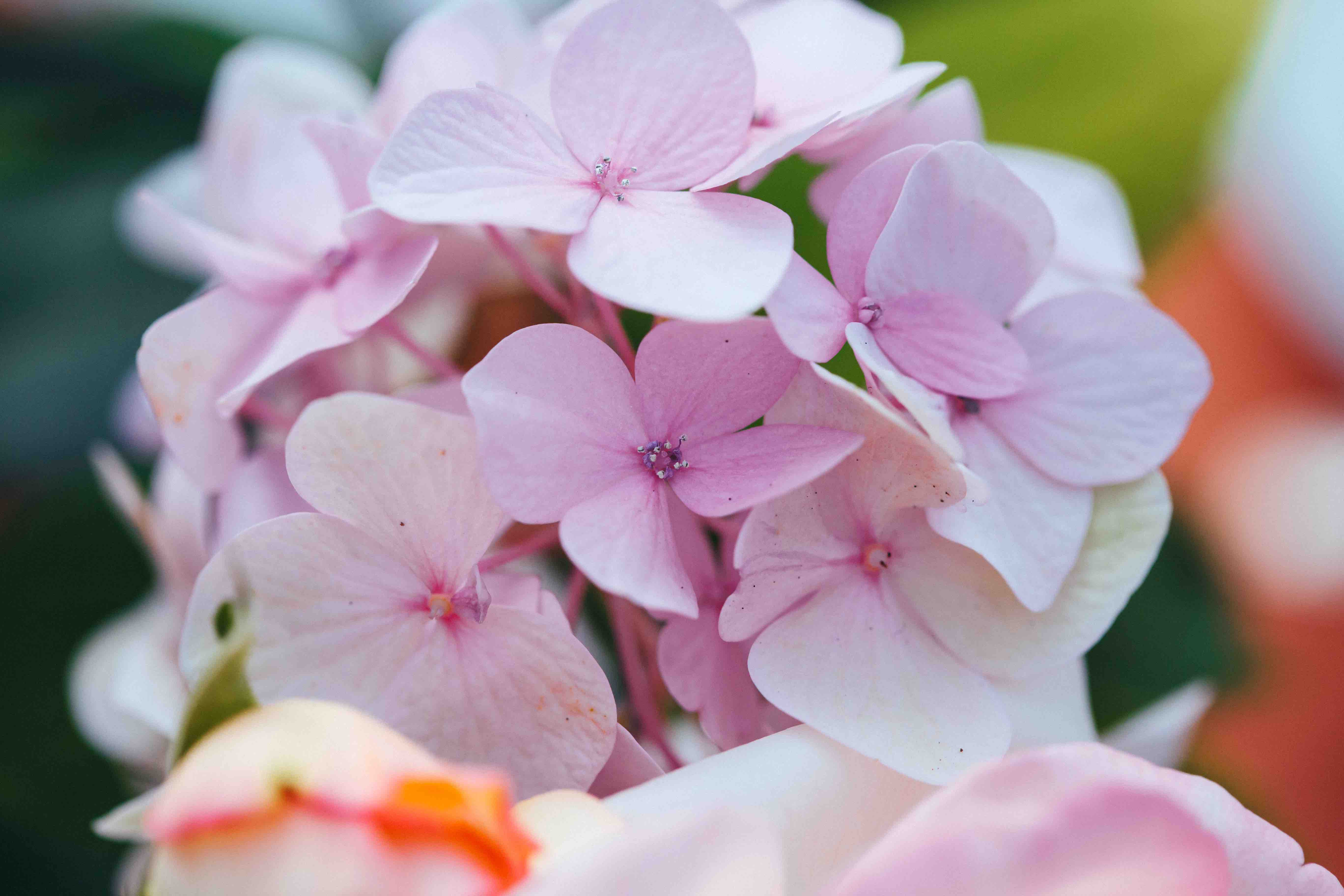 Domaine de Labarthe - Chambres d'hôtes, Espère - photo 5