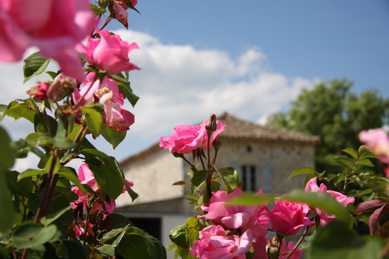 Domaine de la Garde — photo 2