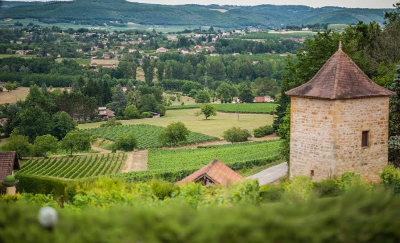 Domaine du Théron — photo 3