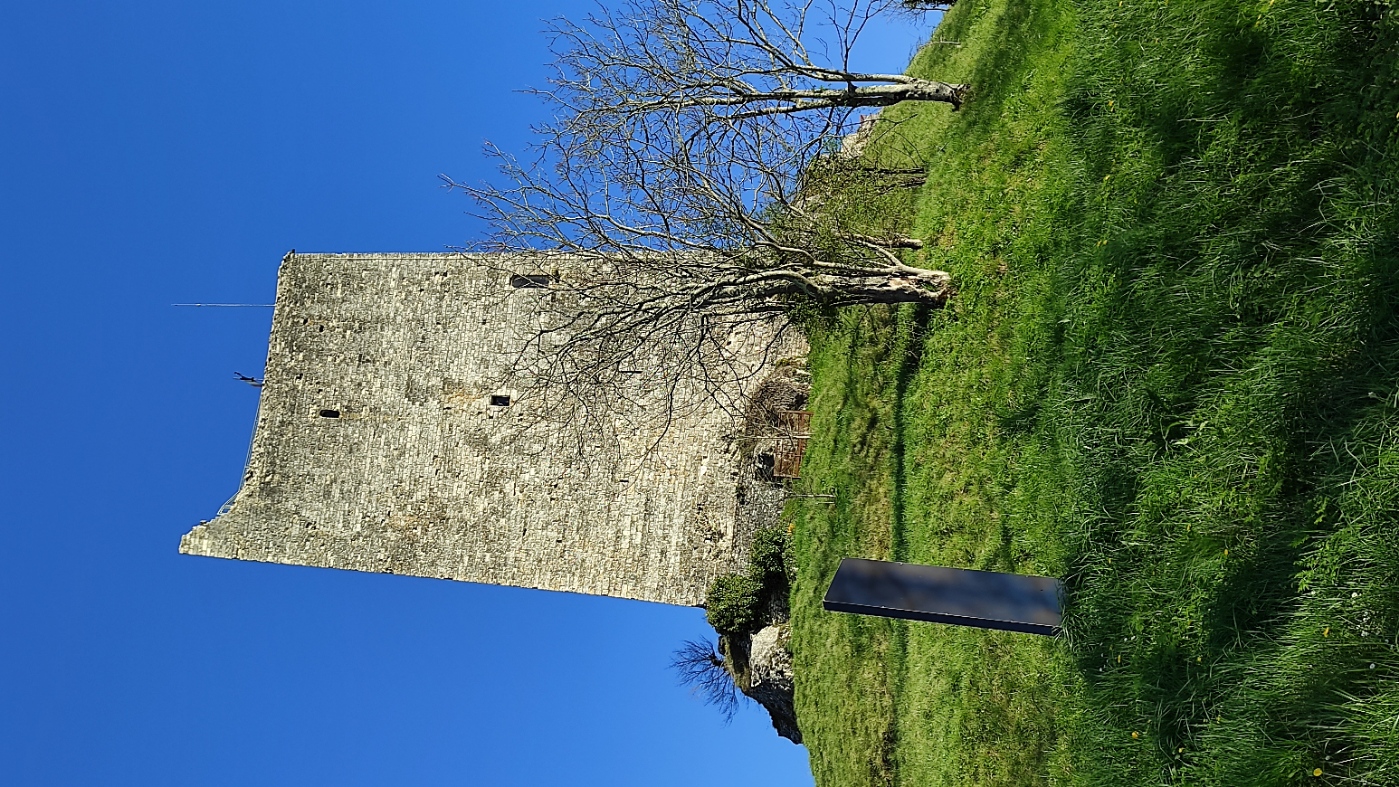 La Montcuquoise, Montcuq-en-Quercy-Blanc - photo 7