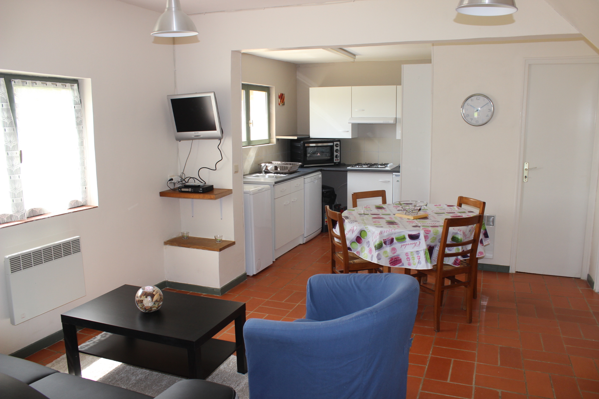 Orchidée, Le Vigan - photo 4