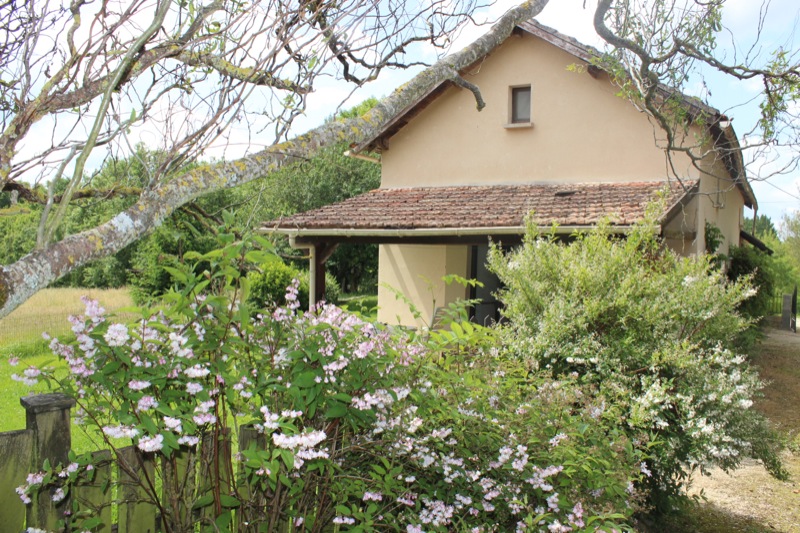 Orchidée, Le Vigan - photo 6