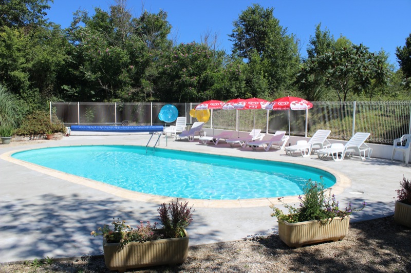 Orchidée, Le Vigan - photo 7