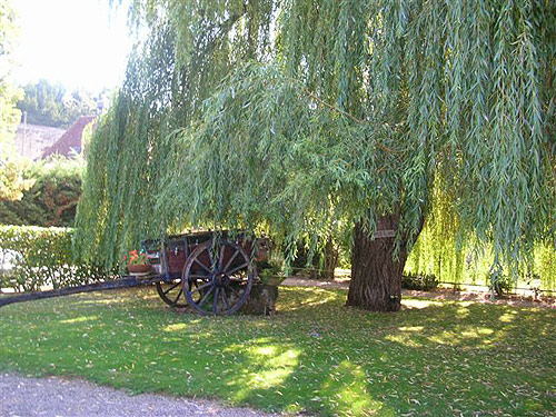 Restaurant Relais du Palsou, Bétaille - photo 9