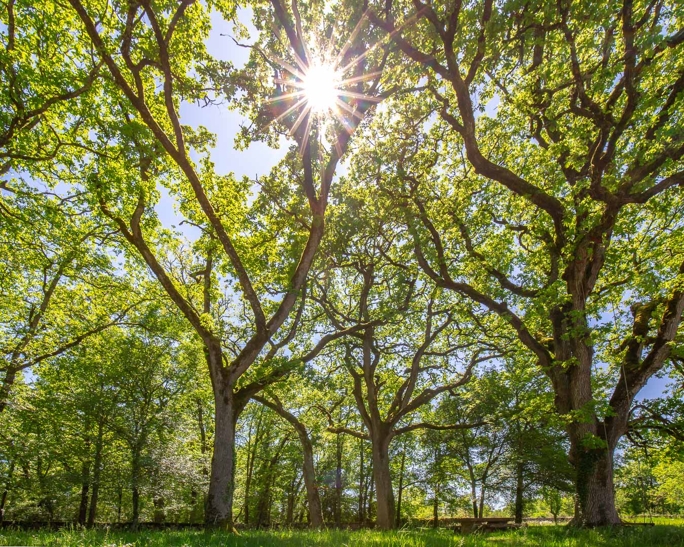 La Terrasse, Concots - photo 7