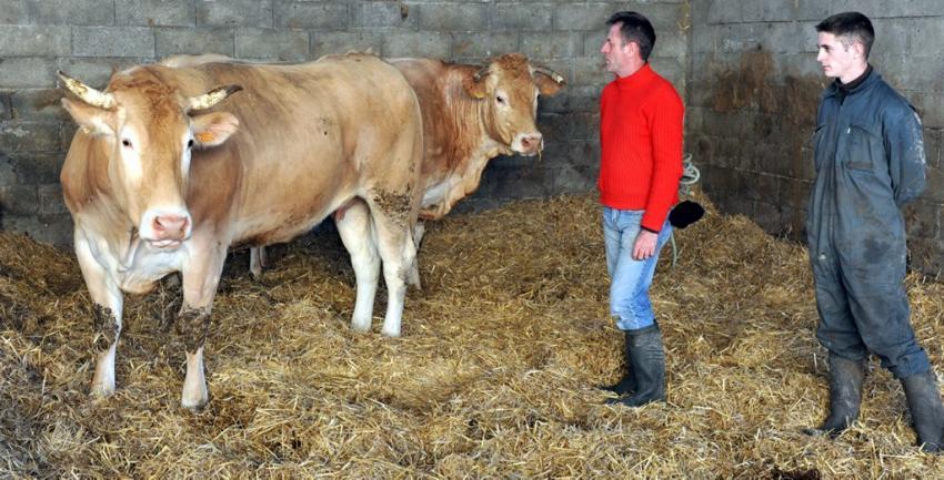 Ferme de Sagnet