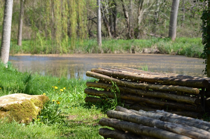 Caillebotis du Site Archéologique du Piage, Fajoles - photo 3