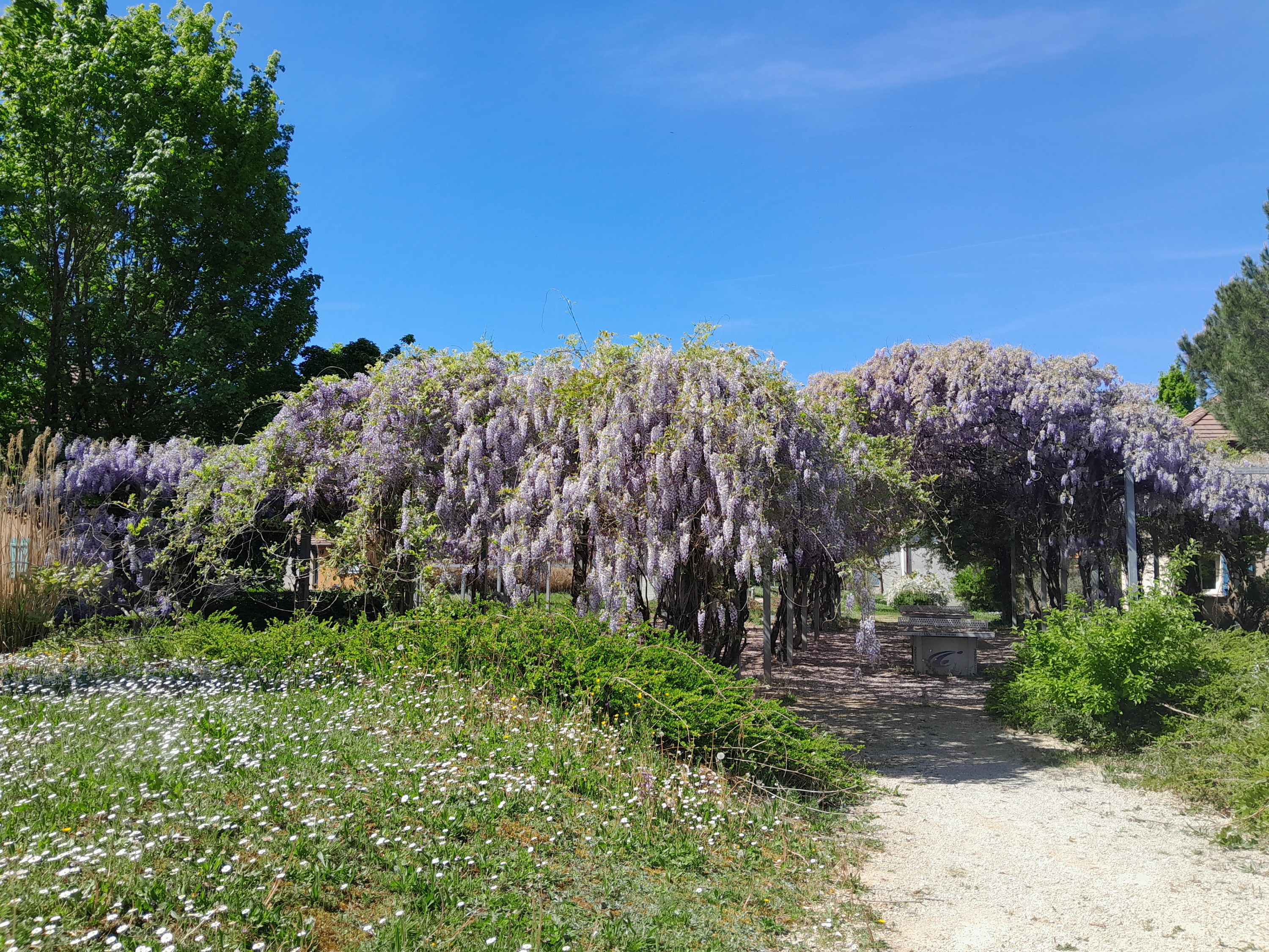 Appartement - Domaine Claire Rive, Prayssac - photo 6