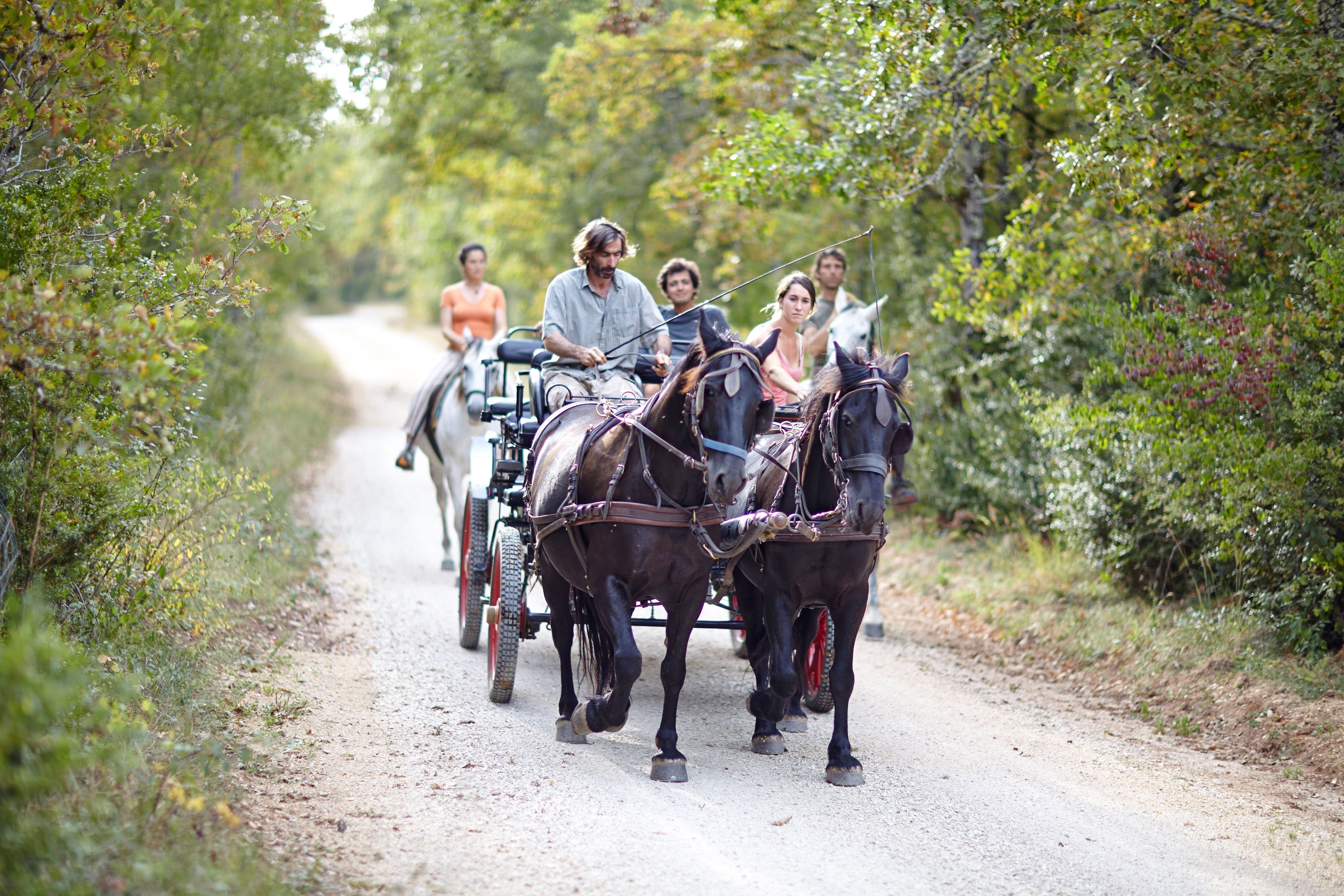 Matériaux et techniques de construction de l'architecture rurale