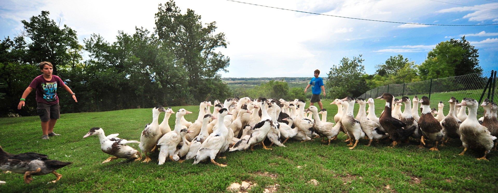 La Veillée Gourmande, Montdoumerc - photo 7