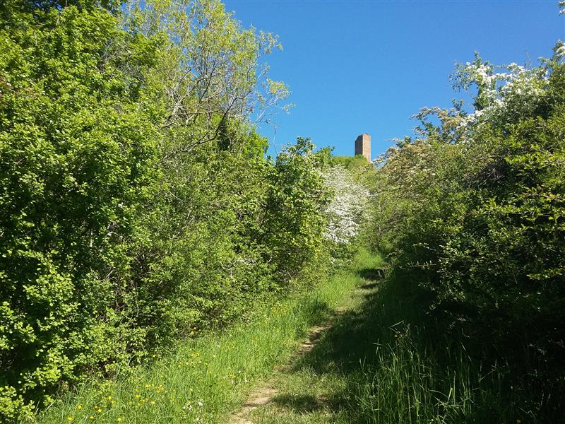 En chemin vers les Tours de Saint-Laurent_01 © Lot Tourisme - A. Leconte