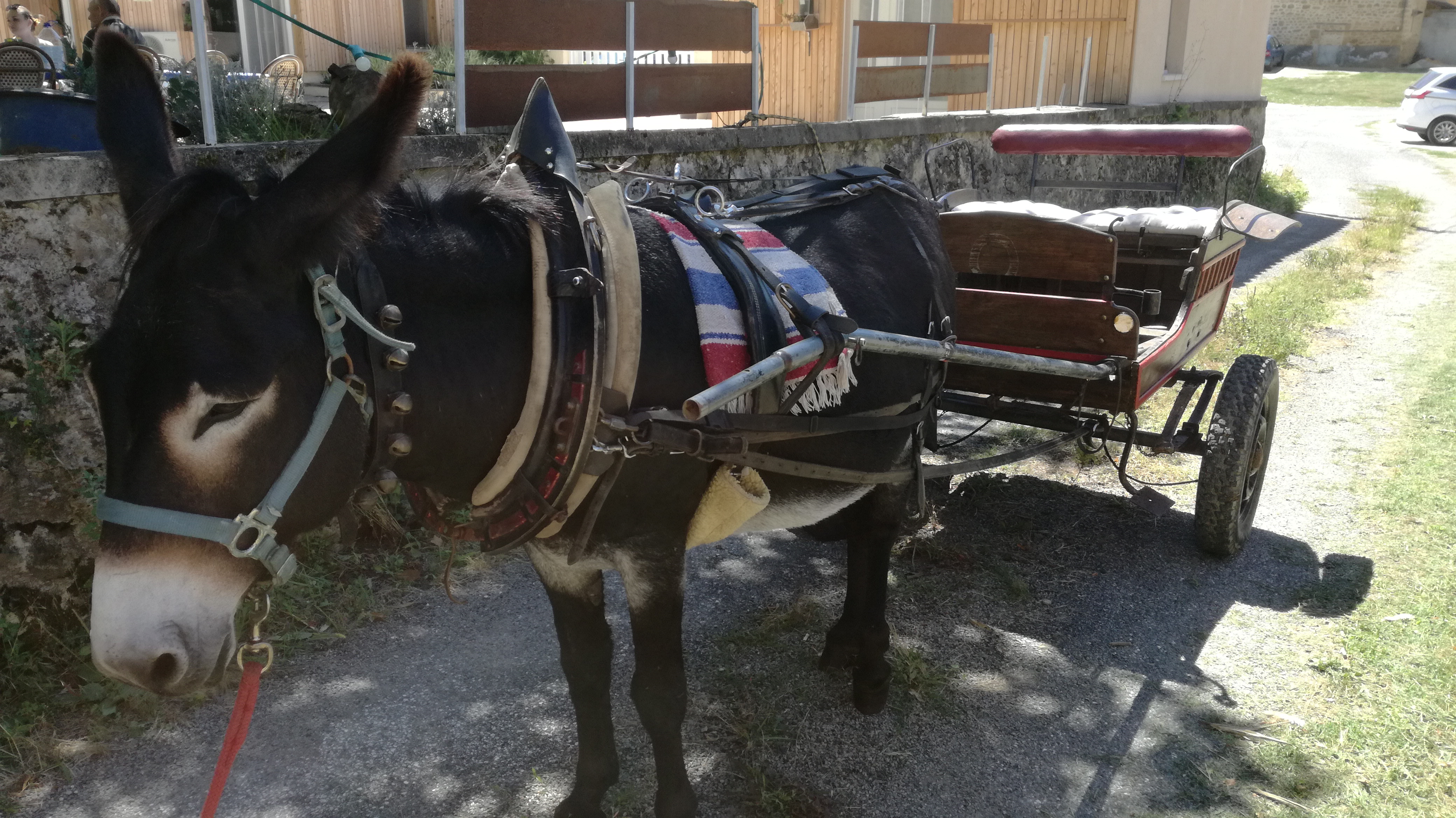 Entr'ânes, Luzech - photo 4