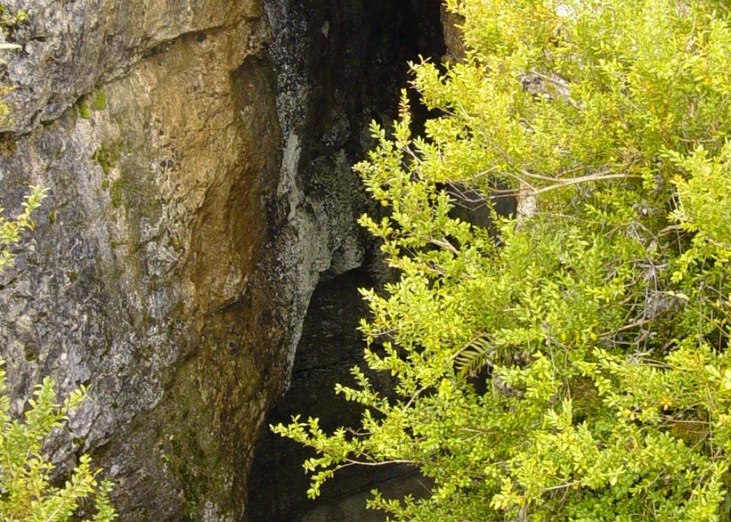 Entrée de grotte