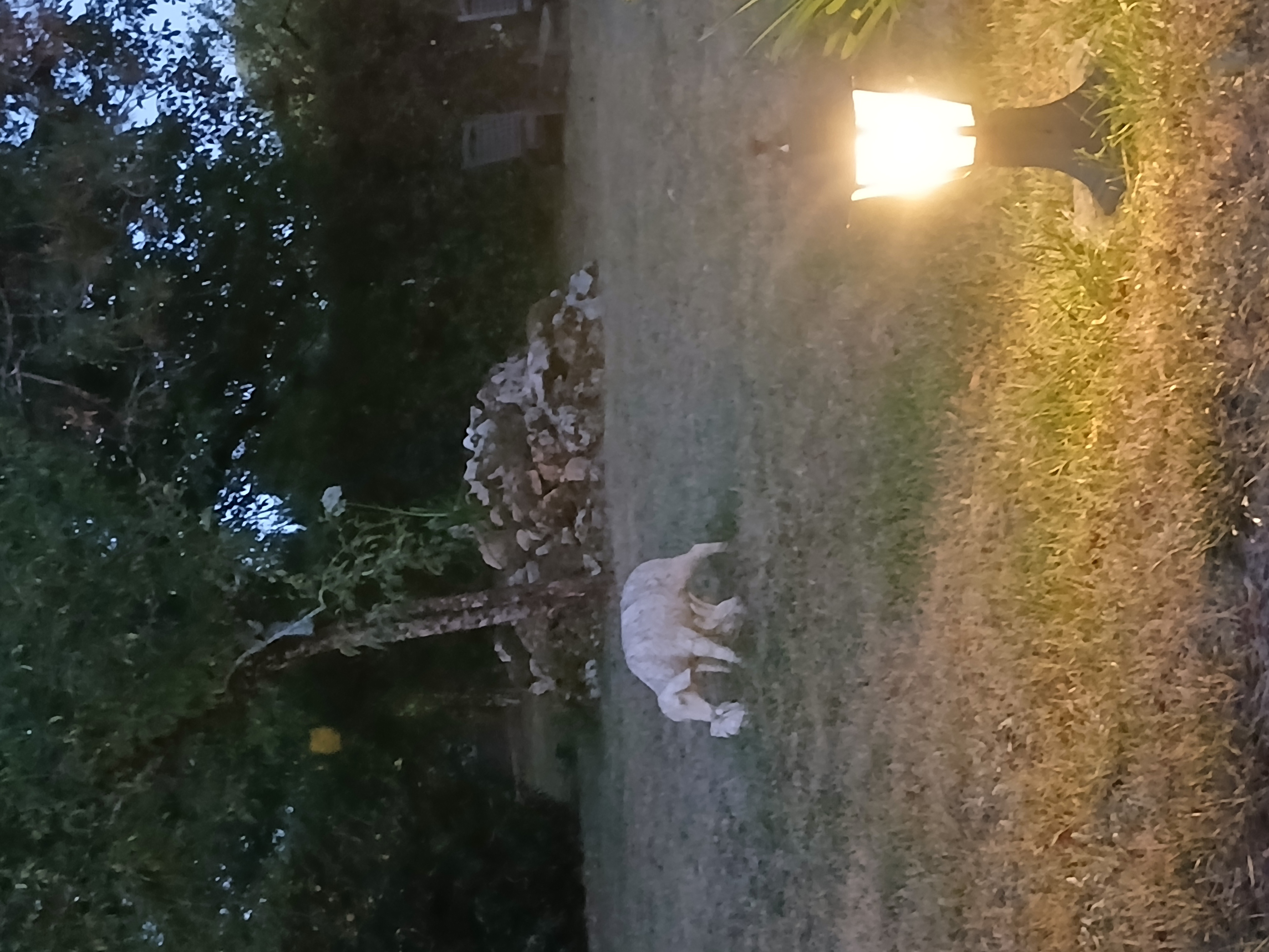 Au Jardin Secret, Gramat - photo 24