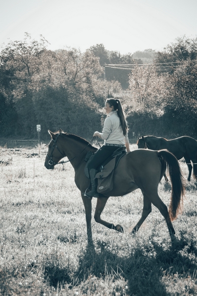 Equi Aventure, Salviac - photo 3