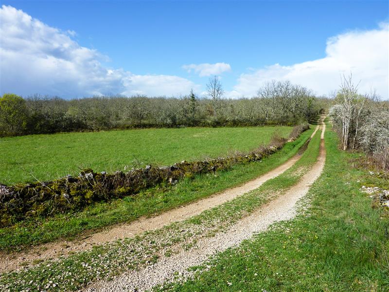 Escabasse - Chemin de castine longeant la clairière © Lot Tourisme - C. Sanchez