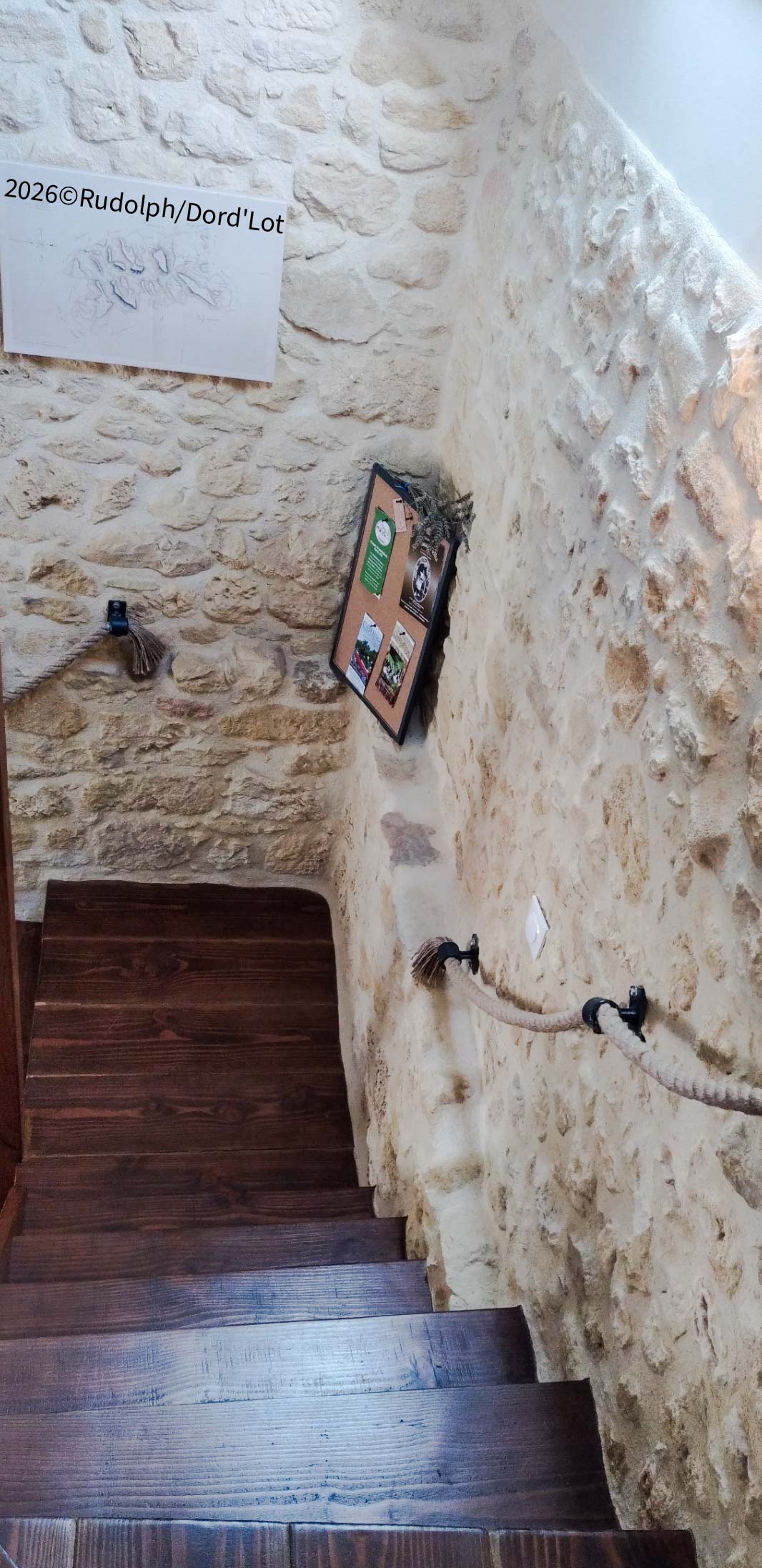 Lo Gîte à l'Ocèst, Saint-Cirq-Madelon - photo 5
