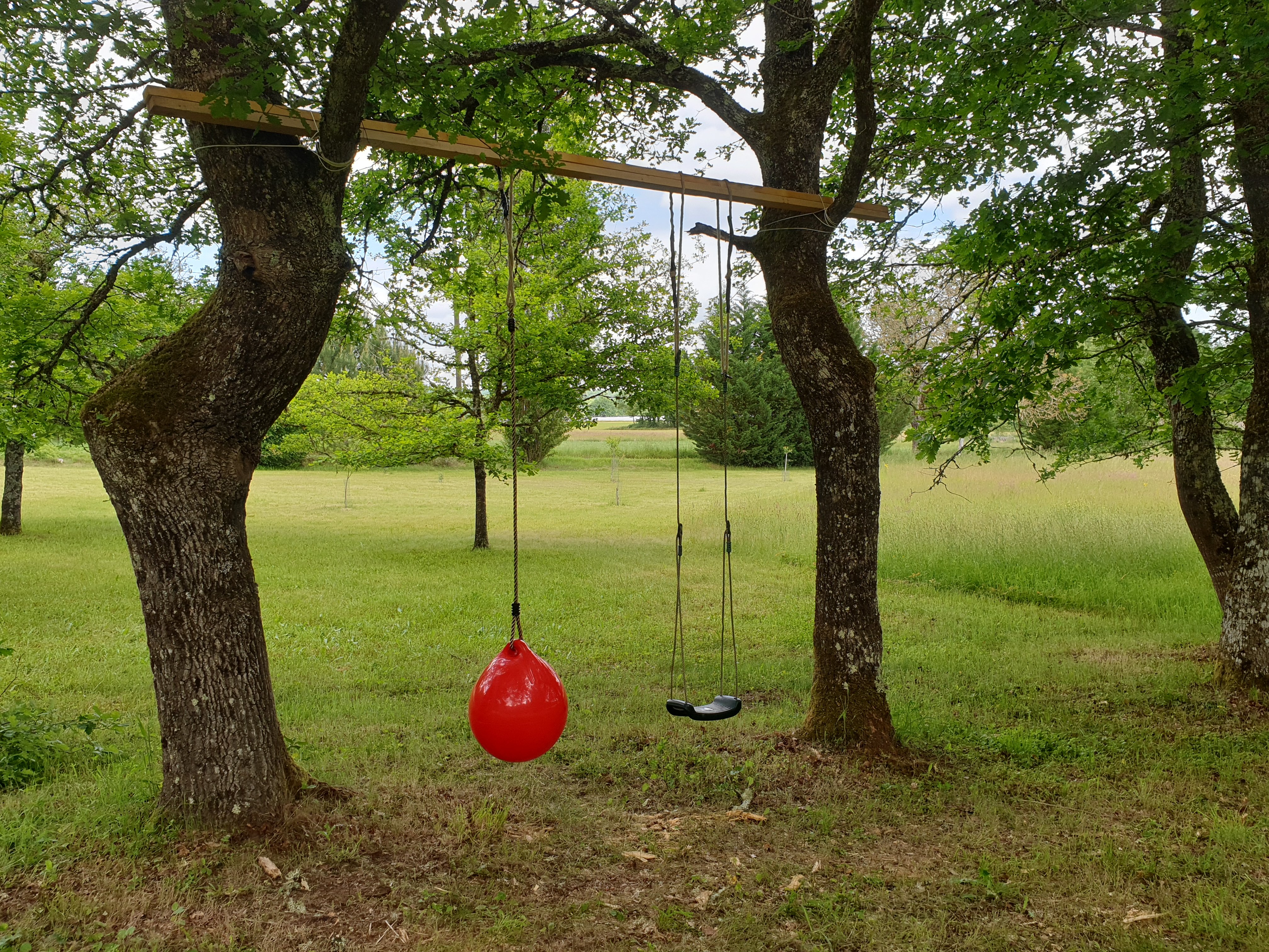 Domaine Du Bois Noir, Milhac - photo 11
