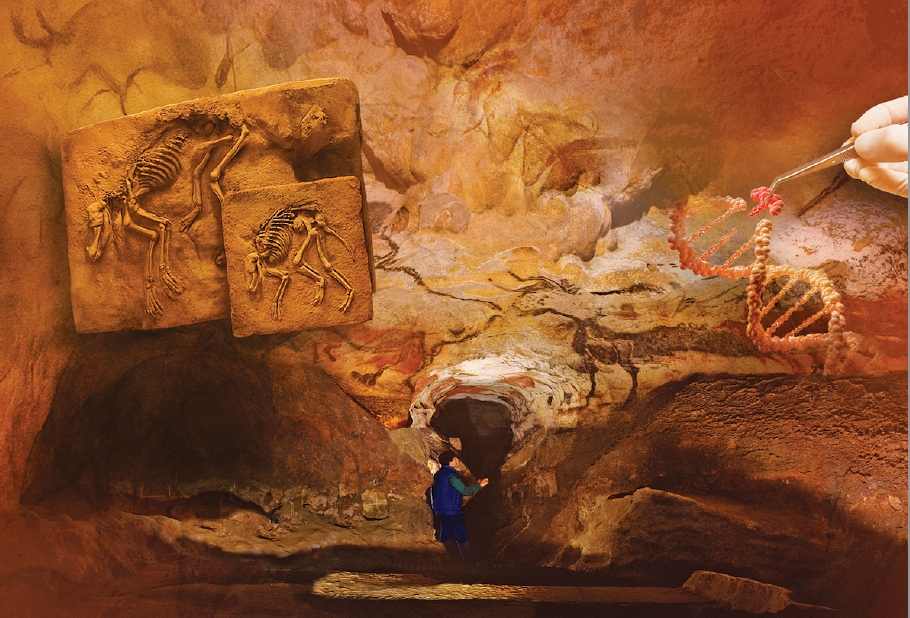 Exposition "Le squelette de la lionne des cavernes" : Biodiversité et Préhistoire "Regards croisés sur la faune de la Préhistoire récente"