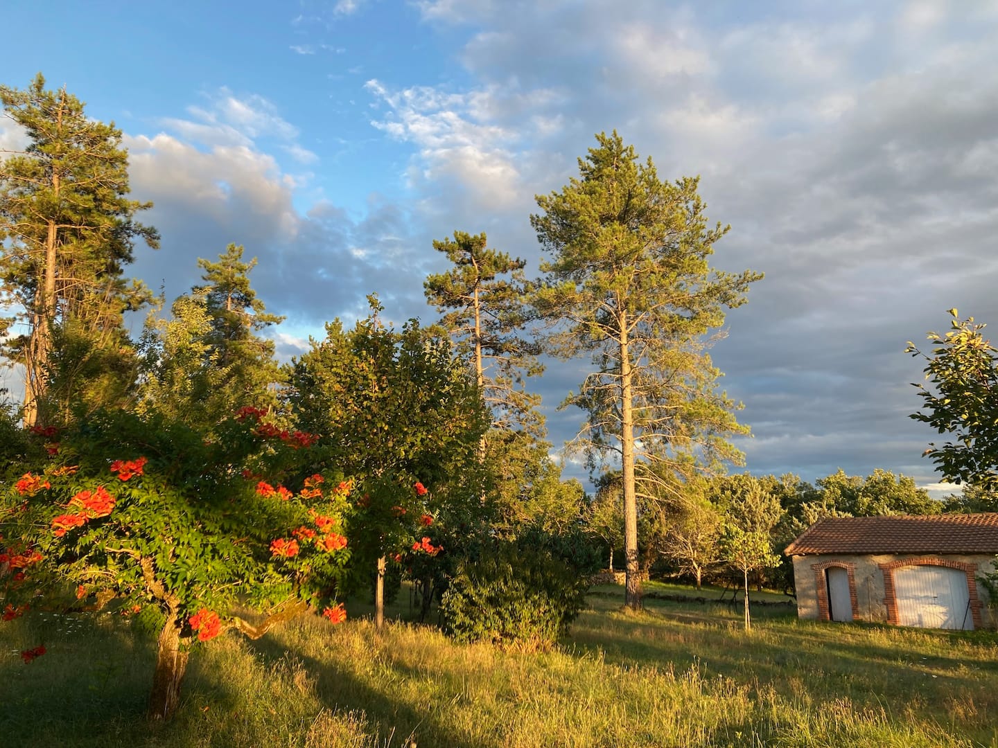 Manoir du Sol d'Izac, Livernon - photo 19