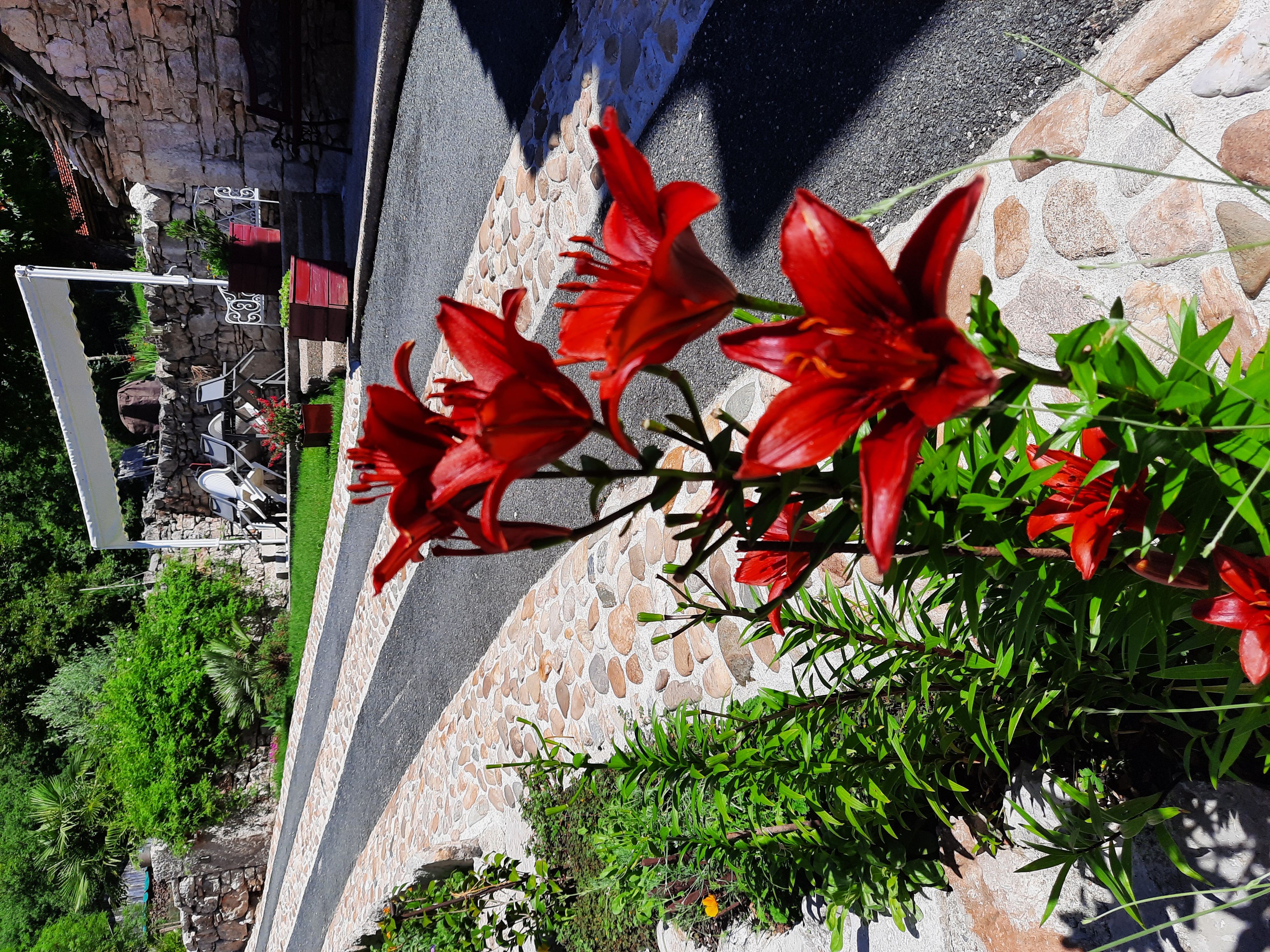 Gîte Bien-être Célézen, Espagnac-Sainte-Eulalie - photo 8