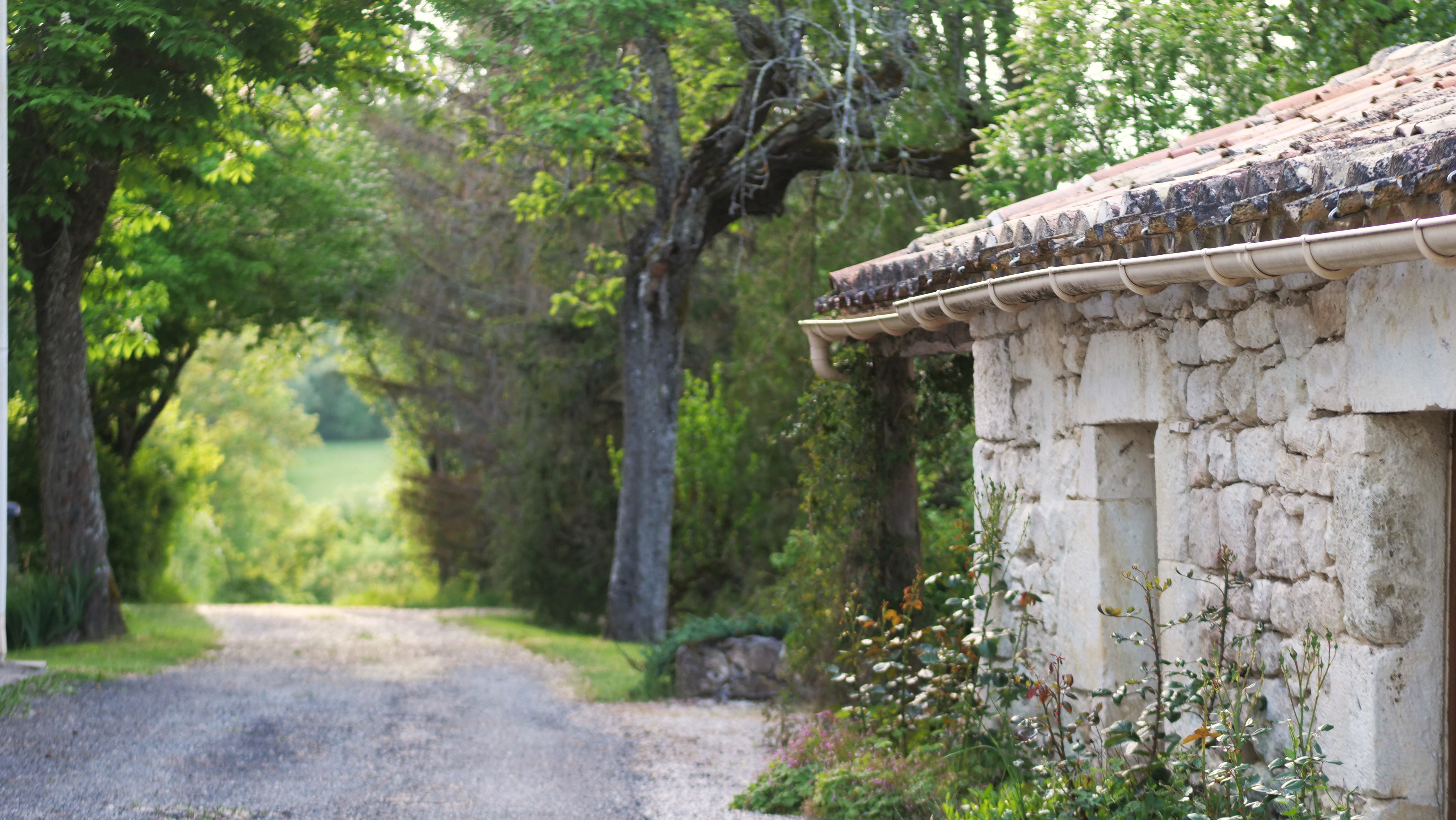 Mas Labrugade - Le Coquet, Montcuq-en-Quercy-Blanc - photo 30