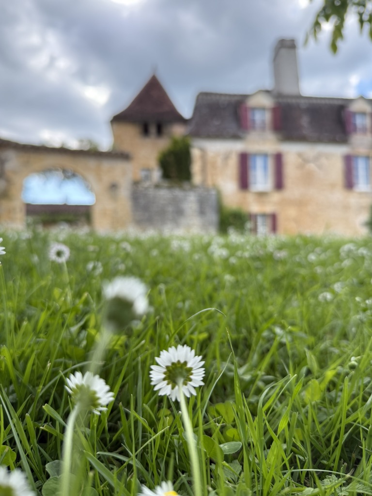 Domaine de Belbouys - Gîte La Ferme, Soturac - photo 31