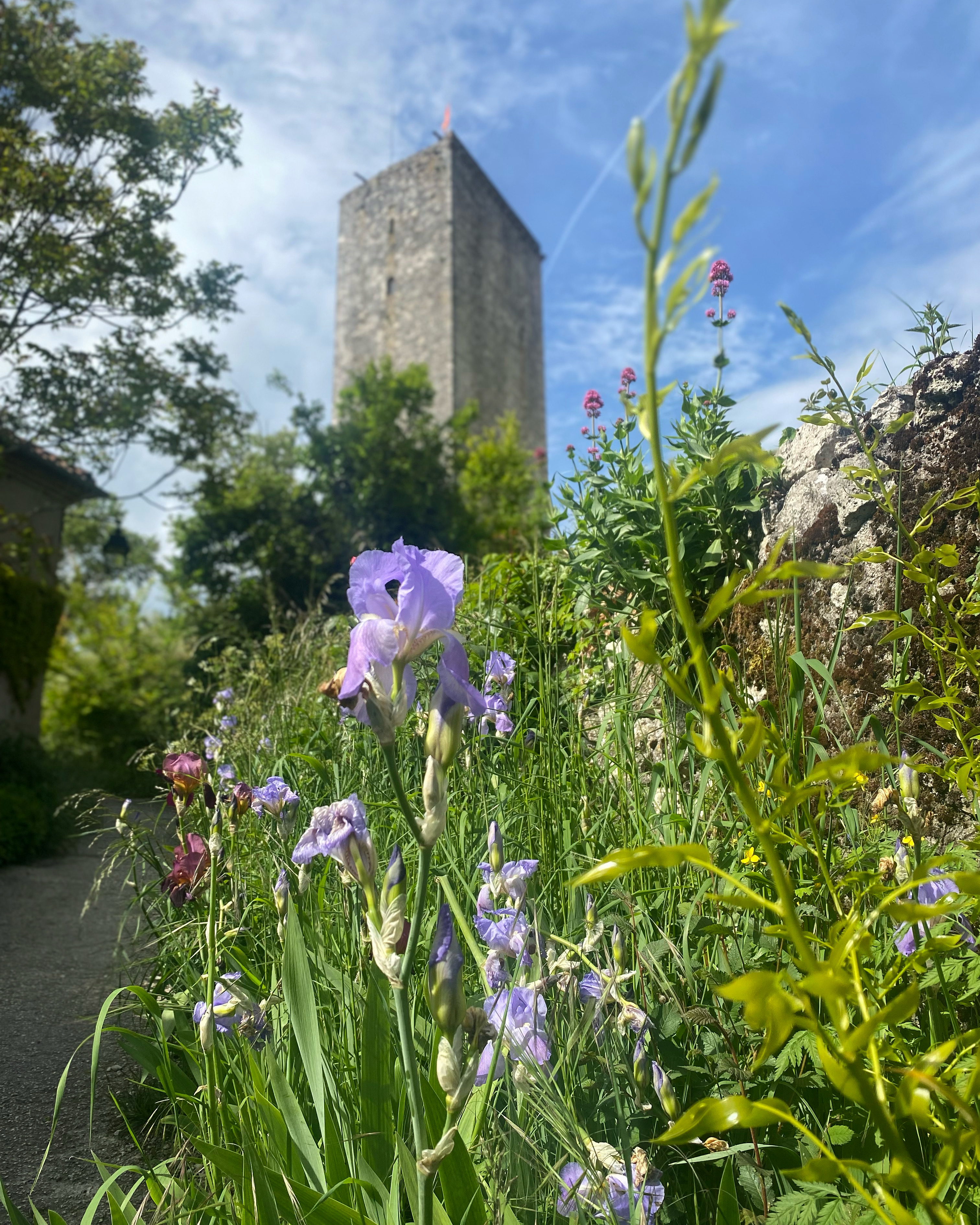 Le Coucou, Montcuq-en-Quercy-Blanc - photo 4