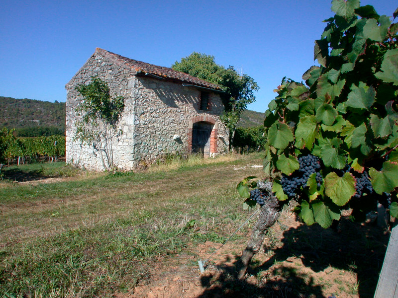 Au Travers du Vignoble de Cahors, Anglars-Juillac - photo 5