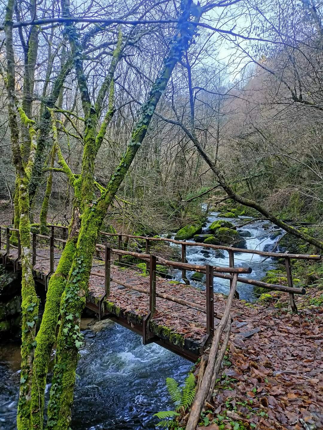 La Grange d'Estal, Sousceyrac-en-Quercy - photo 18