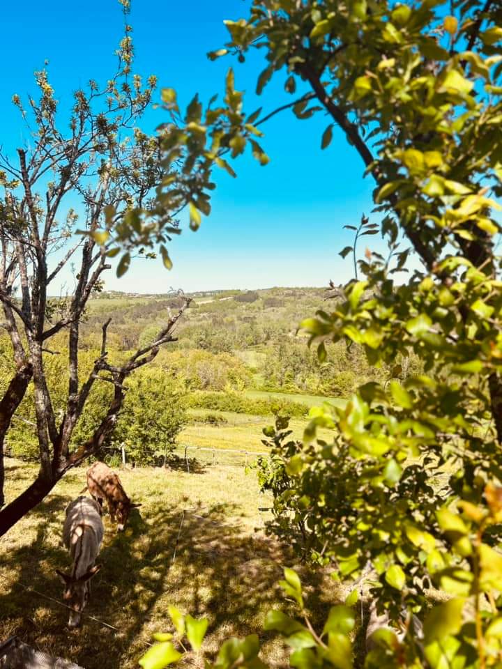 Le Mas des Papillons, Porte-du-Quercy - photo 18