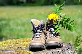 Journées Européennes du Patrimoine : Randonnée "à la découverte du Patrimoine de Payrignac"