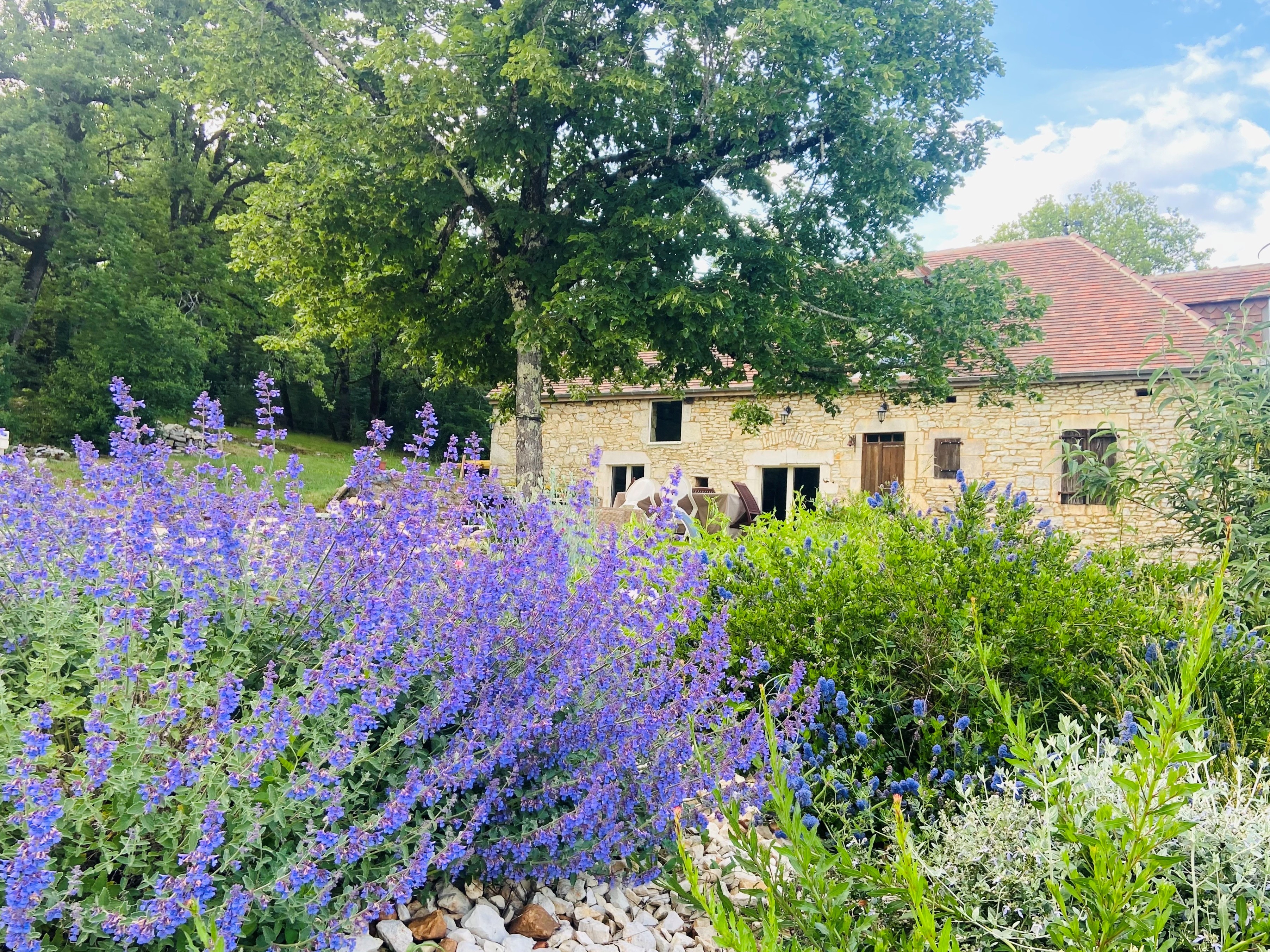 Mas d'Oliu, Martel - photo 10