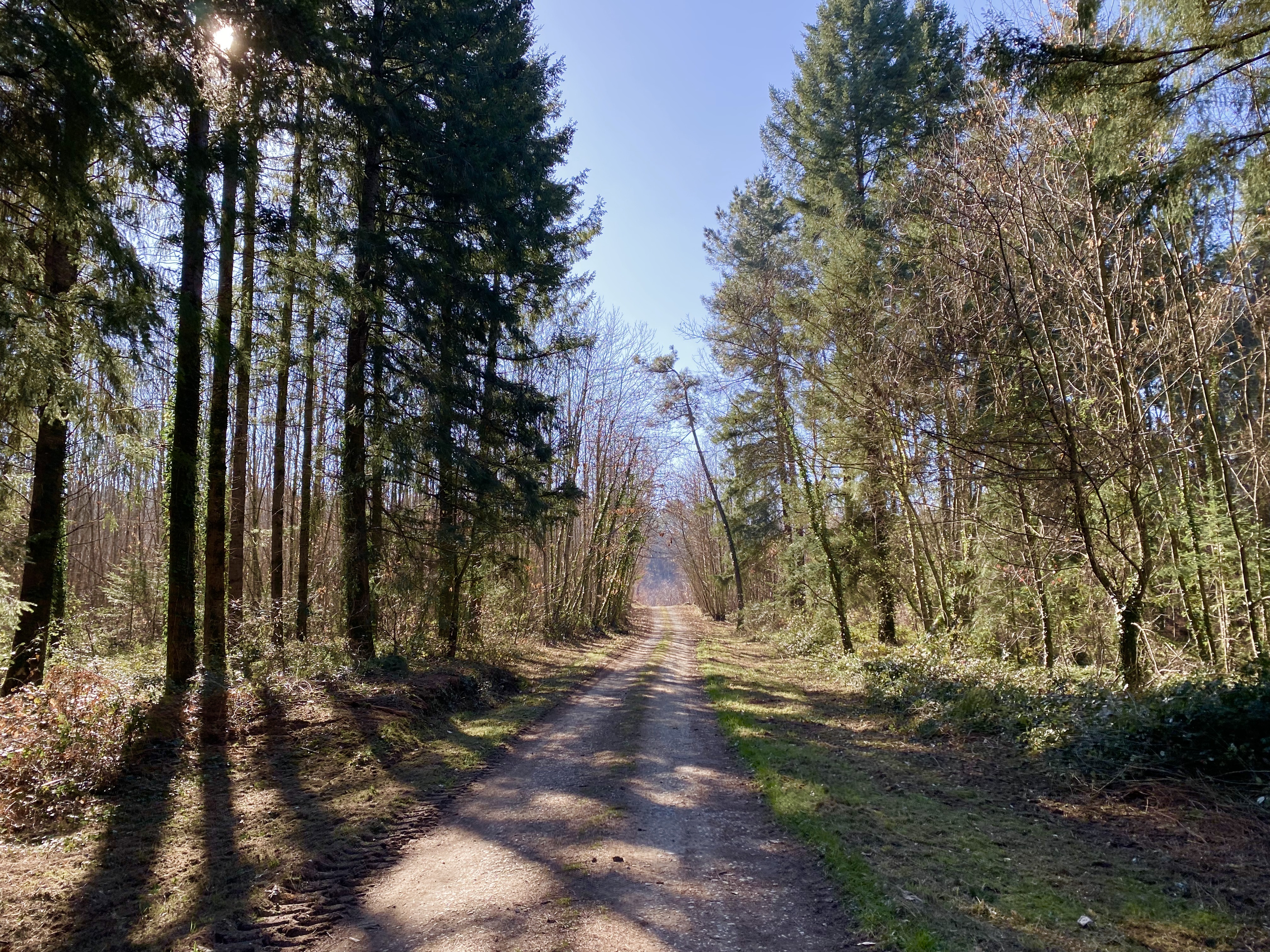 Les châtaigniers, Frayssinet-le-Gélat - photo 3