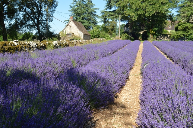 Ferme des Alix