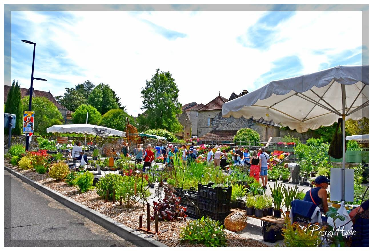 Fête des plantes rares et de collections, Salviac - photo 2