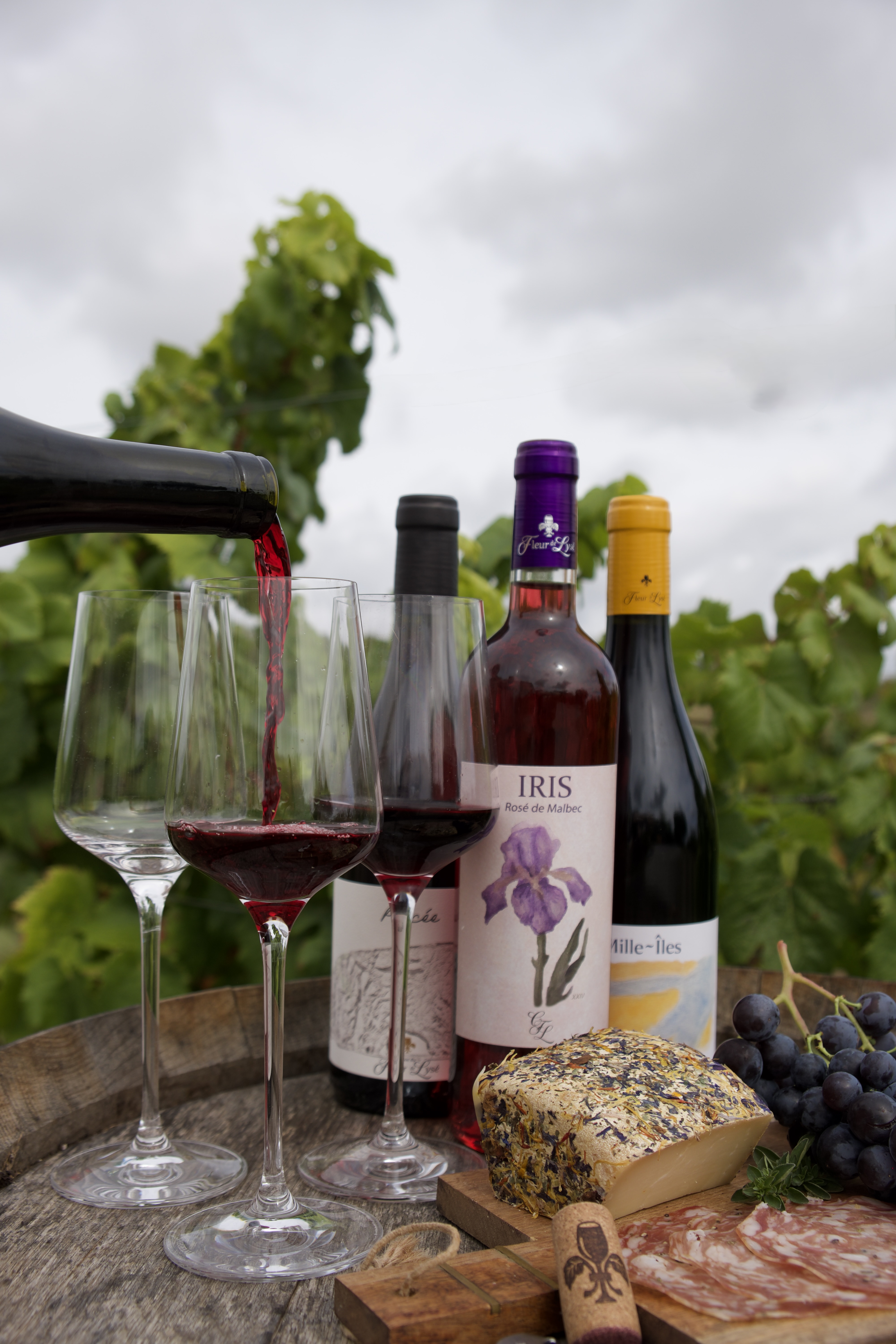 Clos du Fleur de Lysé — photo 2