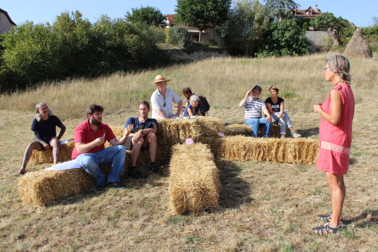 Initiation à la permaculture et application au potager