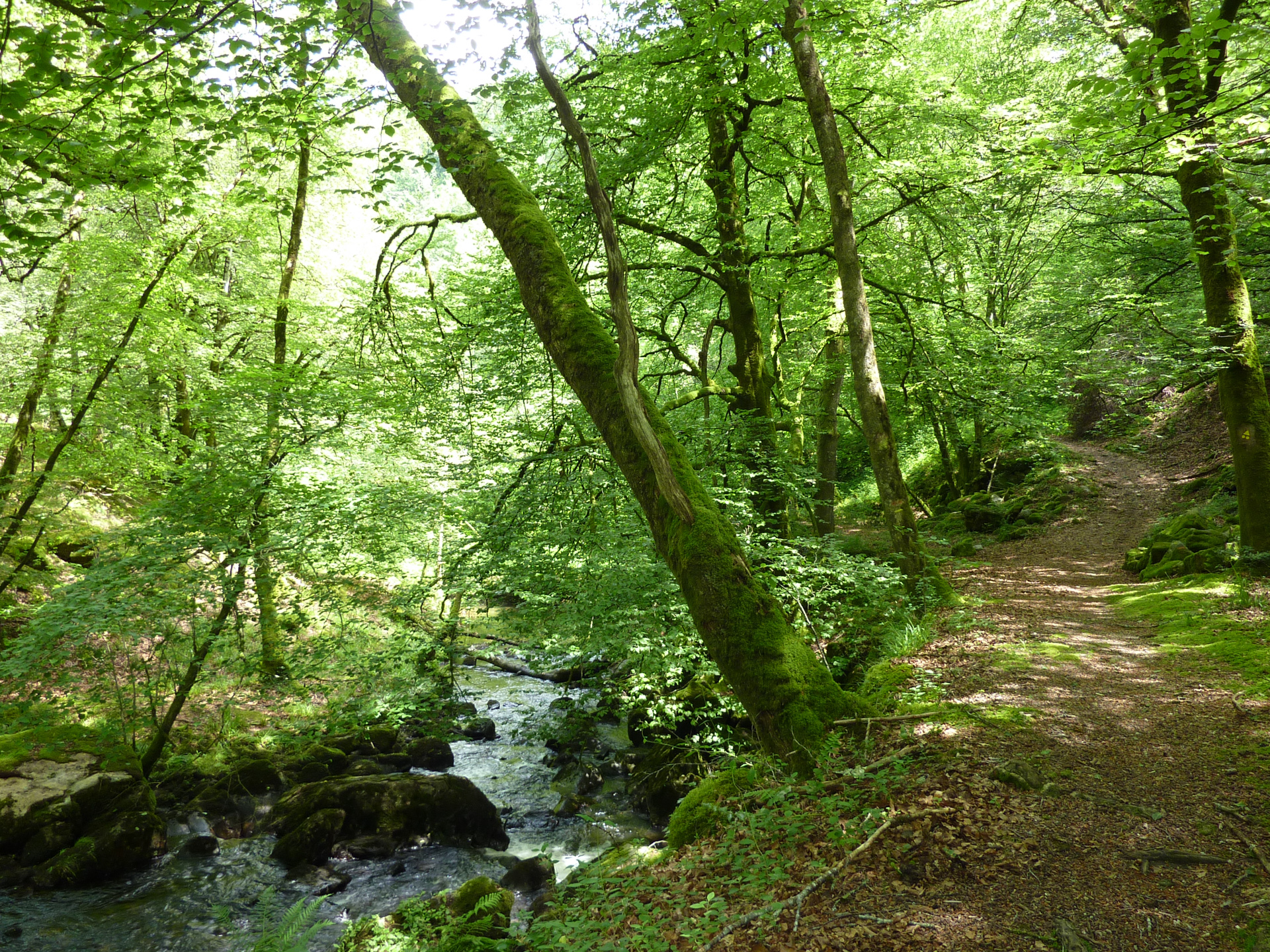 Les Jardins du Ségala, Sousceyrac-en-Quercy - photo 5