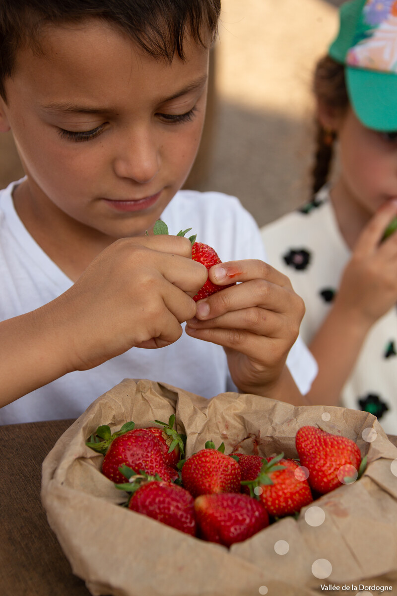 Marché gourmand à la ferme