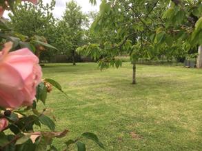 Chez Mamie, Pinsac - photo 10