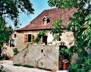 Gite Langèlerie, Saint-Michel-Loubéjou - photo 11