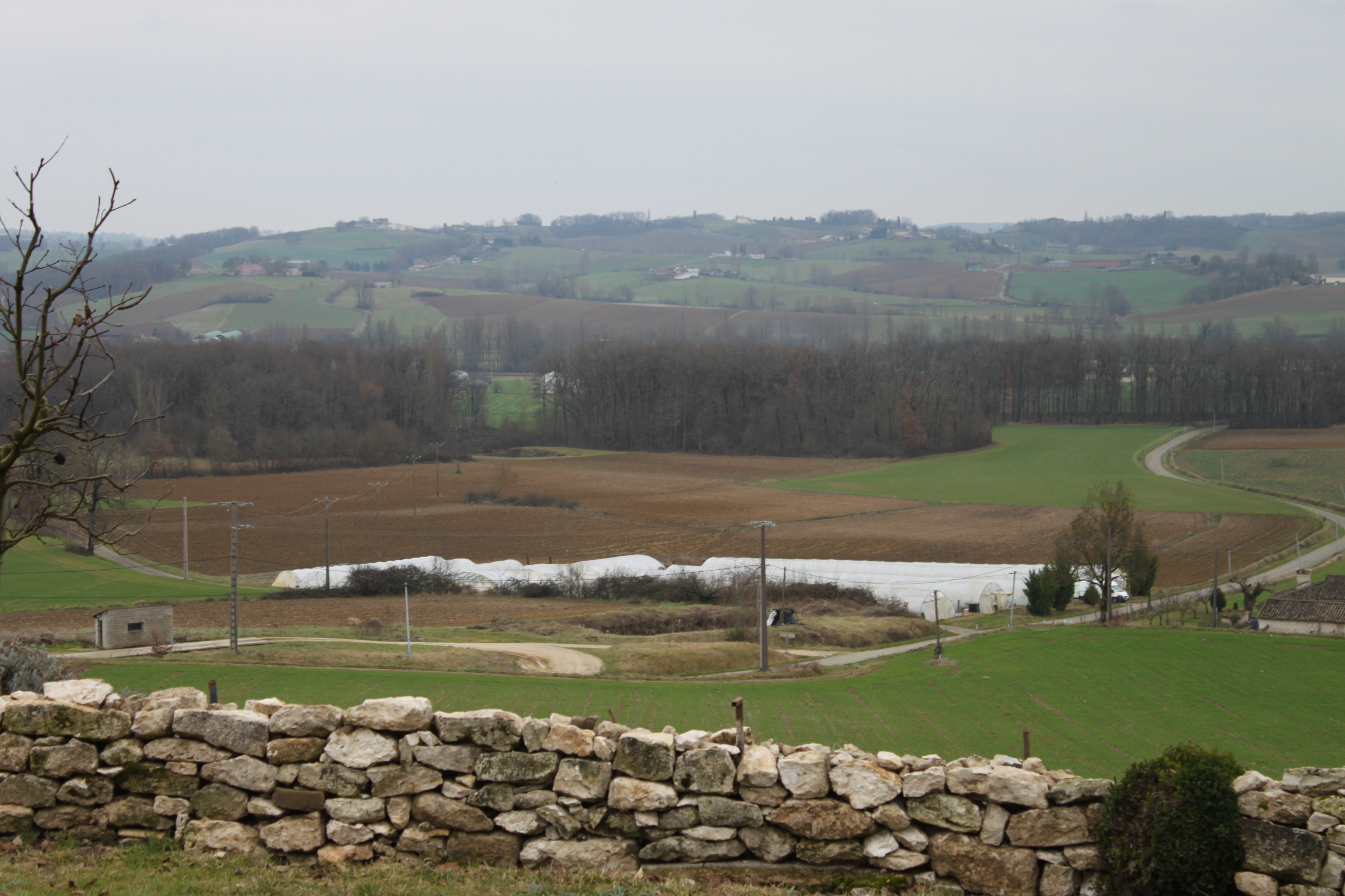 Gaec de Latreille